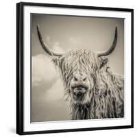 Highland Cattle-Mark Gemmell-Framed Premium Photographic Print