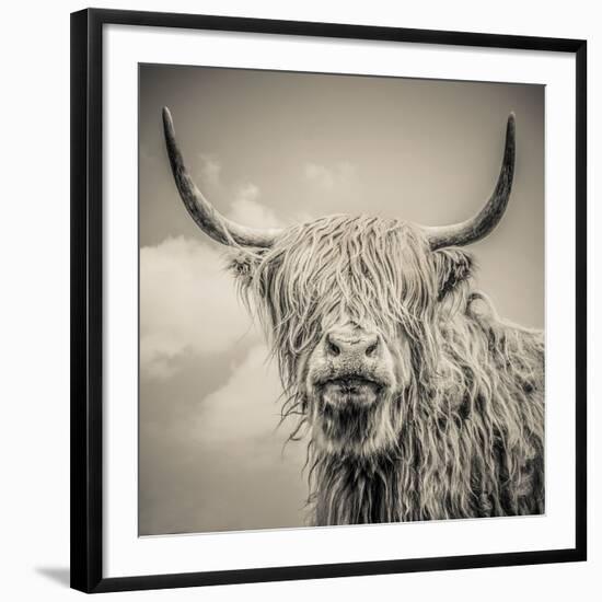 Highland Cattle-Mark Gemmell-Framed Premium Photographic Print