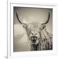 Highland Cattle-Mark Gemmell-Framed Photographic Print