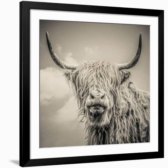 Highland Cattle-Mark Gemmell-Framed Photographic Print