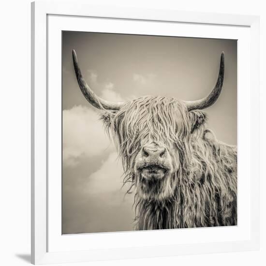 Highland Cattle-Mark Gemmell-Framed Photographic Print