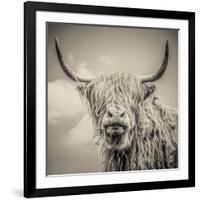 Highland Cattle-Mark Gemmell-Framed Photographic Print