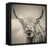 Highland Cattle-Mark Gemmell-Framed Stretched Canvas