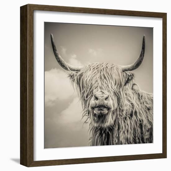 Highland Cattle-Mark Gemmell-Framed Photographic Print