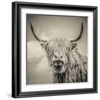 Highland Cattle-Mark Gemmell-Framed Photographic Print