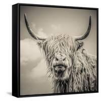 Highland Cattle-Mark Gemmell-Framed Stretched Canvas