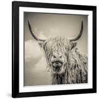 Highland Cattle-Mark Gemmell-Framed Photographic Print