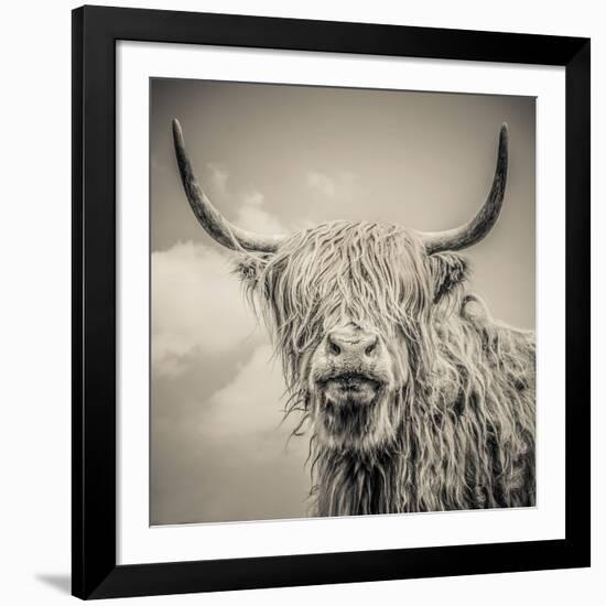 Highland Cattle-Mark Gemmell-Framed Photographic Print