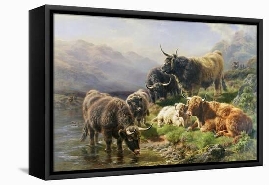 Highland Cattle-William Watson-Framed Stretched Canvas