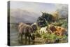 Highland Cattle-William Watson-Stretched Canvas