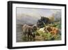 Highland Cattle-William Watson-Framed Premium Giclee Print