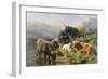 Highland Cattle-William Watson-Framed Premium Giclee Print