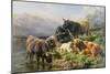Highland Cattle-William Watson-Mounted Premium Giclee Print
