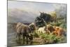 Highland Cattle-William Watson-Mounted Giclee Print