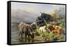 Highland Cattle-William Watson-Framed Stretched Canvas