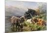 Highland Cattle-William Watson-Mounted Giclee Print