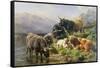 Highland Cattle-William Watson-Framed Stretched Canvas