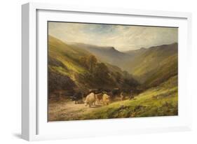 Highland Cattle-null-Framed Giclee Print