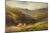 Highland Cattle-null-Mounted Giclee Print