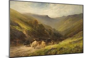 Highland Cattle-null-Mounted Giclee Print