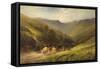 Highland Cattle-null-Framed Stretched Canvas