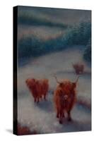 Highland Cattle-Lee Campbell-Stretched Canvas