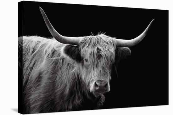 Highland Courage-Bill Philip-Stretched Canvas