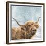 Highland Cow 001-Clare Davis London-Framed Giclee Print