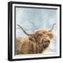 Highland Cow 001-Clare Davis London-Framed Giclee Print