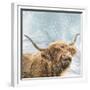 Highland Cow 001-Clare Davis London-Framed Giclee Print