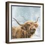 Highland Cow 001-Clare Davis London-Framed Giclee Print