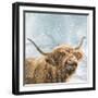 Highland Cow 001-Clare Davis London-Framed Giclee Print