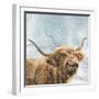 Highland Cow 001-Clare Davis London-Framed Giclee Print