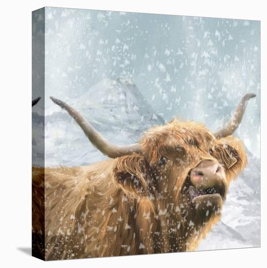 Highland Cow 001-Clare Davis London-Stretched Canvas