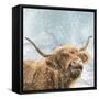 Highland Cow 001-Clare Davis London-Framed Stretched Canvas