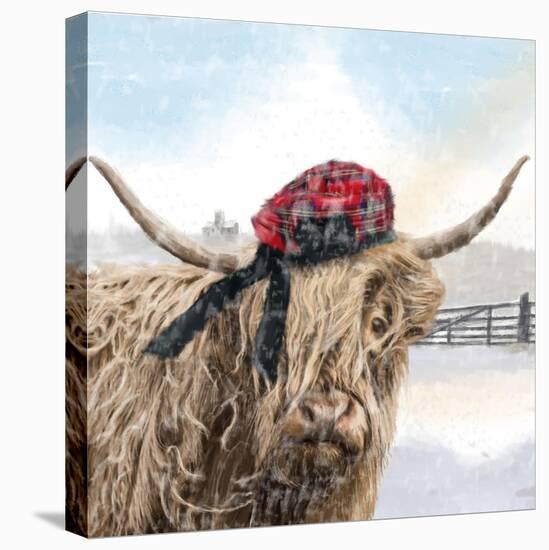 Highland Cow 002-Clare Davis London-Stretched Canvas