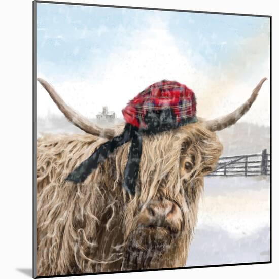 Highland Cow 002-Clare Davis London-Mounted Giclee Print