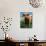 Highland Cow, Hope, United Kingdom-Mark Daffey-Mounted Photographic Print displayed on a wall