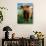 Highland Cow, Hope, United Kingdom-Mark Daffey-Photographic Print displayed on a wall