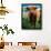 Highland Cow, Hope, United Kingdom-Mark Daffey-Framed Photographic Print displayed on a wall