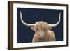 Highland Cow Navy-James Wiens-Framed Art Print