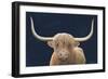 Highland Cow Navy-James Wiens-Framed Art Print