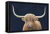 Highland Cow Navy-James Wiens-Framed Stretched Canvas