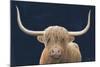 Highland Cow Navy-James Wiens-Mounted Art Print