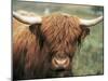 Highland Cow, Near Elgol, Isle of Skye, Highland Region, Scotland, United Kingdom-Neale Clarke-Mounted Photographic Print