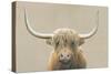Highland Cow Neutral-James Wiens-Stretched Canvas