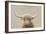 Highland Cow Neutral-James Wiens-Framed Art Print