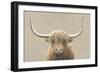 Highland Cow Neutral-James Wiens-Framed Art Print