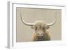 Highland Cow Neutral-James Wiens-Framed Art Print