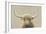 Highland Cow Neutral-James Wiens-Framed Art Print